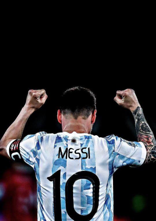 场与竞技结 场与竞技结